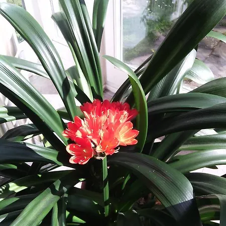 Timeout Casa de hóspedes